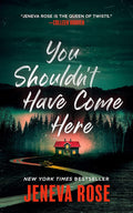 You Shouldn't Have Come Here cover image